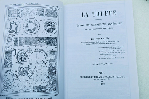 Truffe chatin - chatin, la
