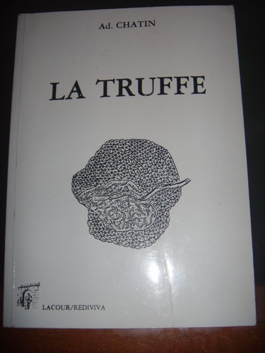 Truffe etude conditions - truffe:,